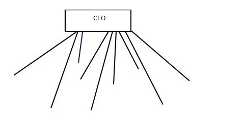 Organizational Structure 2