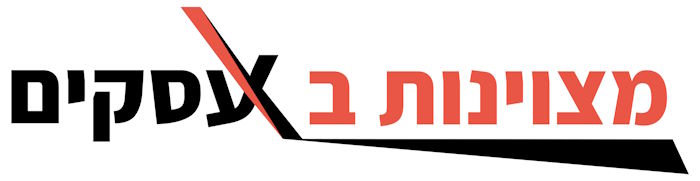 מצוינות בעסקים — זאב רונן