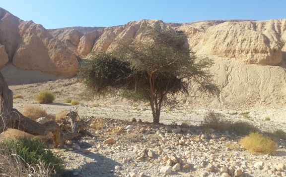 יחסי ספק לקוח – מדוע זה נכון לעבוד עם קלפים פתוחים?
