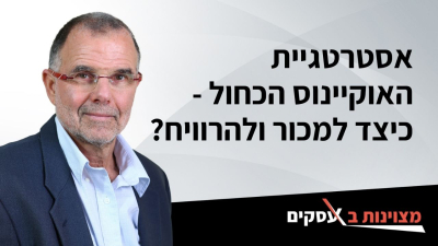 [וידאו] אסטרטגיית האוקיינוס הכחול - כיצד למכור ולהרוויח?